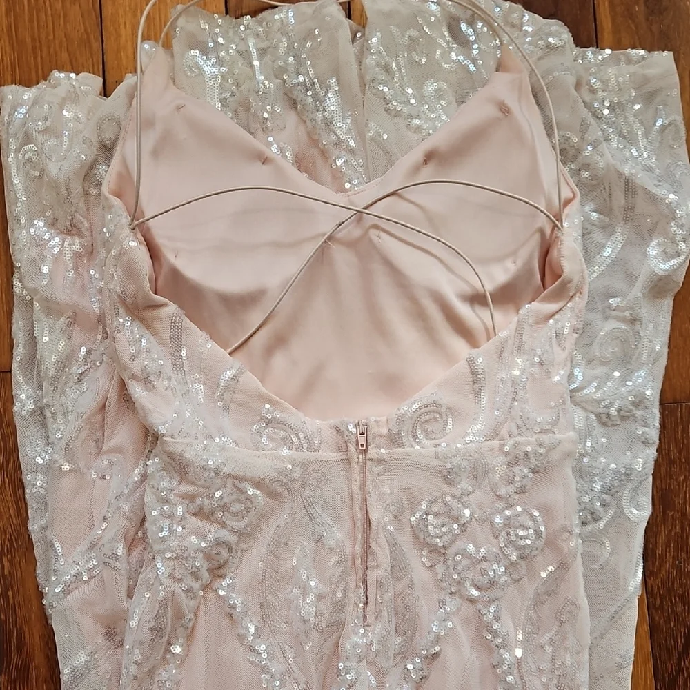 Windsor Blush Sequin Backless Dress - Picture 6 of 11